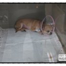 아리 동물병원 이미지