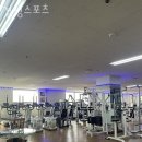 경성스포츠 네이버블로그