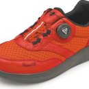 슈올즈 괴정점 이미지