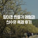 항아초 만들기 체험과 산수유 축제 후기