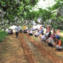 김영천농장 이미지