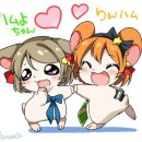 햄스터S