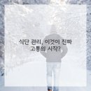 바디메이커 이미지