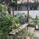 카페수수 - 함양군 고운로 51 | 카페수수