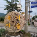 제주통돼지마을 이미지
