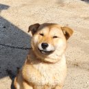모화 이미지
