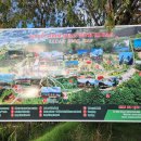 (1월 7일) 달랏 랑비앙산(베트남 달랏 2025년1월 7일) 이미지