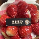 코코로팡