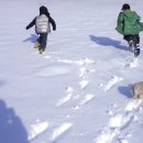 신왕초 부연분교장 이미지