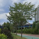 공릉2빗물펌프장 이미지