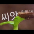 안동MBC 특집다큐 «씨앗, 준비된미래»에 토종씨드림이 등장합니다. 이미지