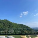 포레스트 당구클럽 이미지