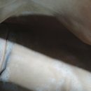 사랑세탁 | 울산 루이비통 가방 세탁 후기, 곰팡이 제거로 다시 새것처럼