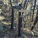 악견산등산로 이미지