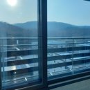 금호우남공인중개사사무소 이미지