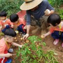 밝음어린이집 이미지