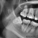 바르다 치과교정과 치과의원 이미지