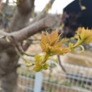 화양연화농장 이미지