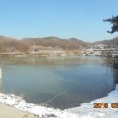 팔용당저수지 이미지