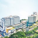 국제성모병원 이미지