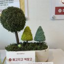 메고지고대구동인동점
