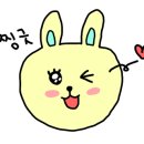 류버들의체이스옷 이미지
