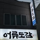 어류도감 | [상동맛집] 어류도감 재방문 후기 !!!