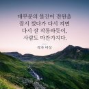 부부김밥 이미지