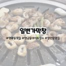 뚱이막창 | [일번가 막창] 잡내가 하나도 안 나는 행궁동데이트장소 영화동 막창맛집