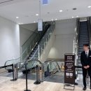 강남-189 | 웨딩밴드 투어 ② | 신세계 강남 (샤넬, 부쉐론, 까르띠에) | 일요일 오픈런, 상품권 구매 후기