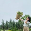 제주가족의 시간 이미지