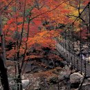 가을 단풍여행-지리산 한옥펜션 이미지
