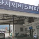찐촌바이브