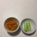 (주)위드어스인 | 2026년 3월 일상 이모저모 모음zip.🍃🎀