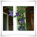 안민한의원 이미지