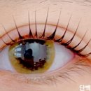 다온피부&속눈썹 이미지