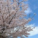 유민목장 이미지