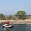 손양면사무소 이미지