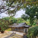 조삼모아 이미지