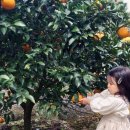 민지목장 이미지