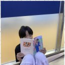 사파동286 이미지