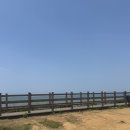 1-7 공중화장실 | [화성] 경기도 근교 궁평항 차박, 차크닉 성지 내돈내산 후기(이용요금, 화장실, 주변시설)