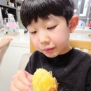 주식회사 더 샘터 네이버블로그