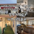 대구교육박물관 | 대구 군위 실내 아이와 무료입장 경북대학교 자연사박물관 후기