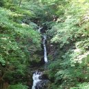 휴양림길 이미지