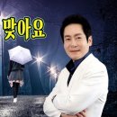 사랑이 비를 맞아요(배금성) 이미지