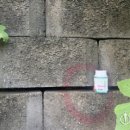 화악지암길 이미지