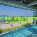 티라061 이미지