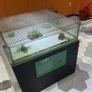 용인농촌테마파크 다목적교육관 이미지