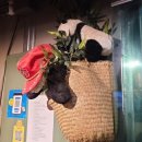 차이몬스터 이미지